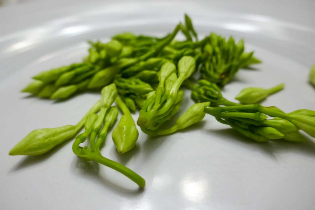 Harvested Loroco buds in green casing.