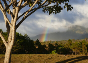 A rainbow is depicted to portray safety in El Salvador
