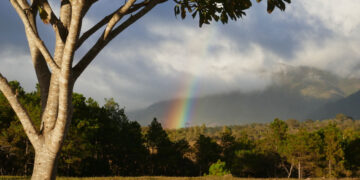A rainbow is depicted to portray safety in El Salvador